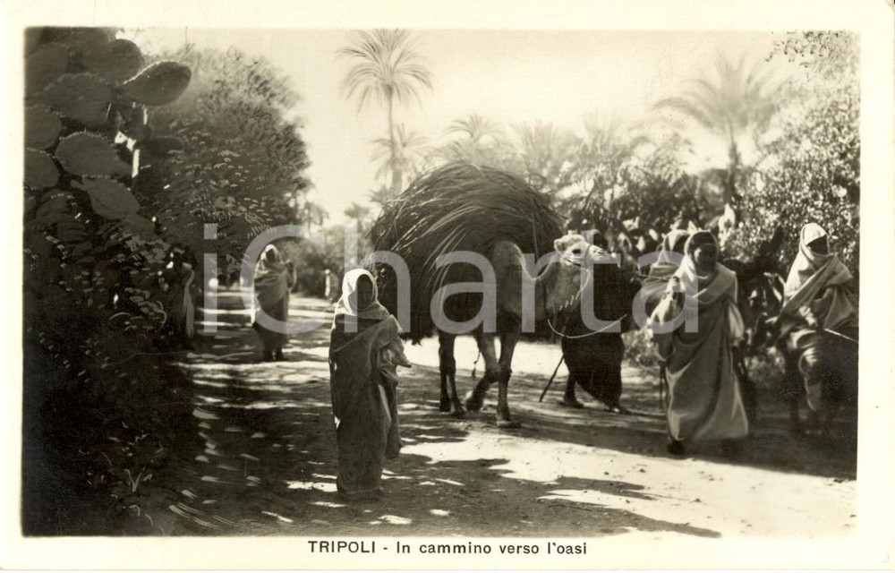 Cartolina originale da collezione 1940 ca TRIPOLI (LIBIA) Beduini con cammello in cammino verso l'oasi *FP NV 1