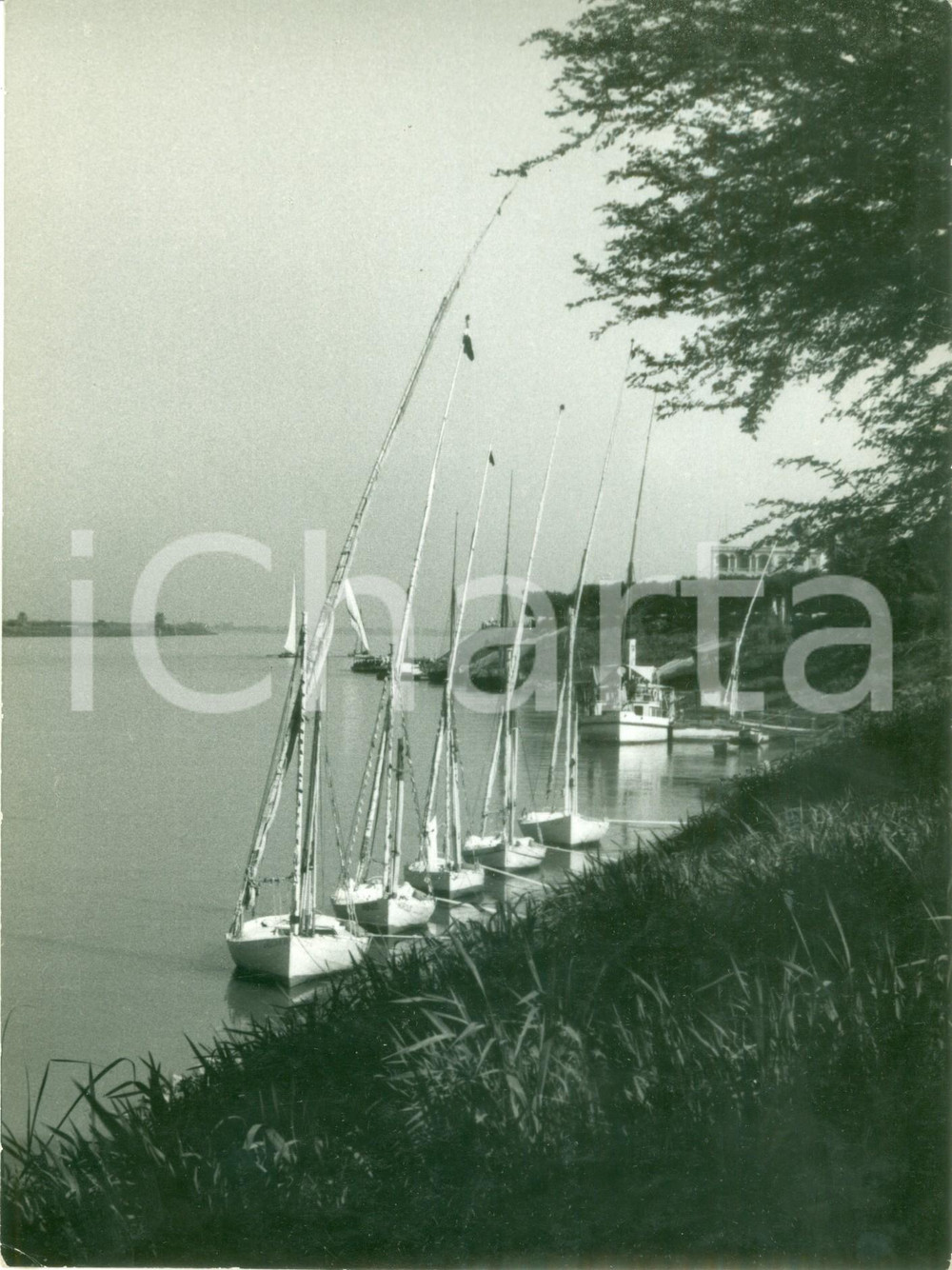 Fotografia d epoca originale 1950 ca ASSUAN EGITTO Barche all ancora sul NILO Fotografia 1