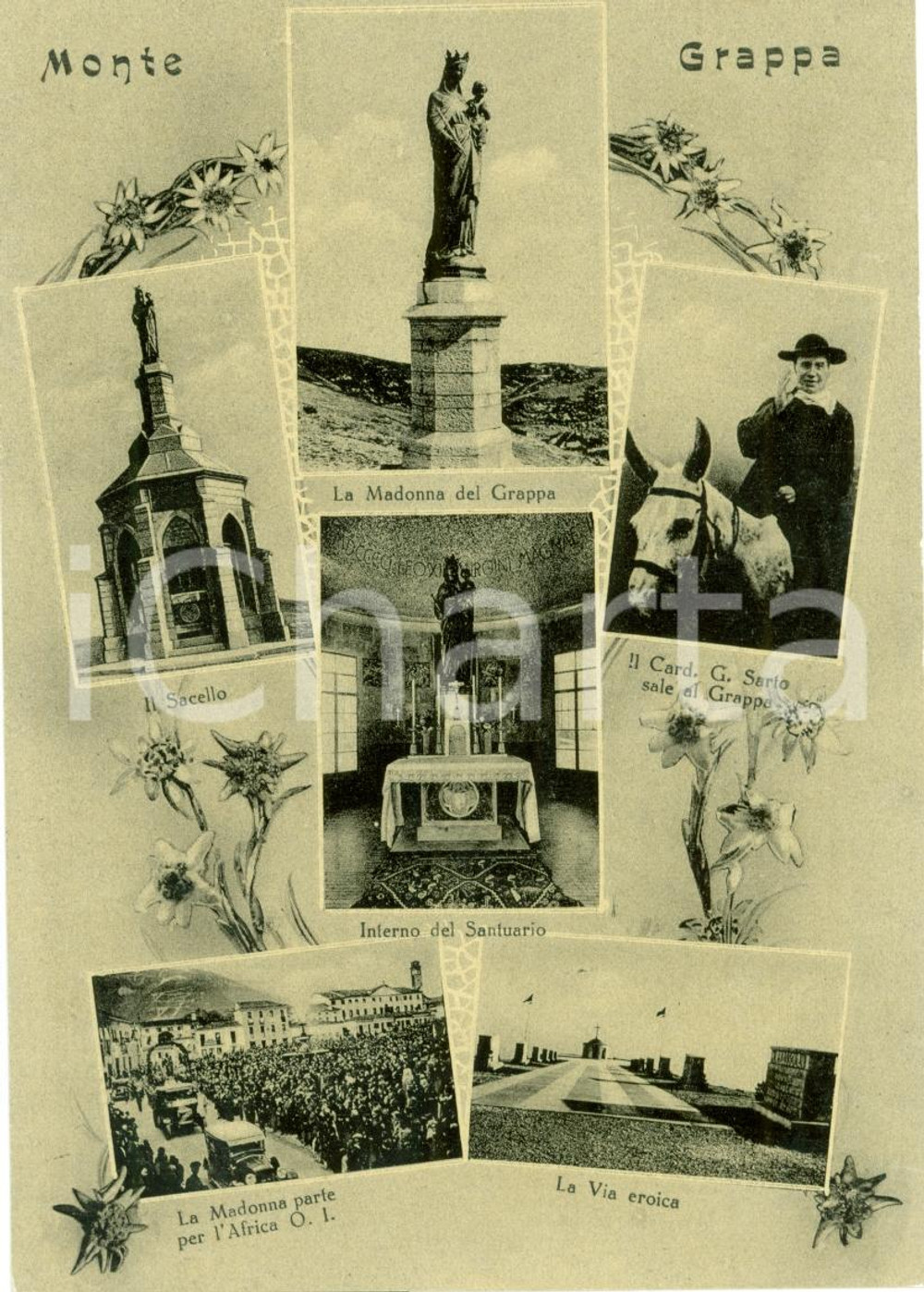 Cartolina originale da collezione 1955 MONTE GRAPPA Vedutine del Santuario *Cartolina NV 1