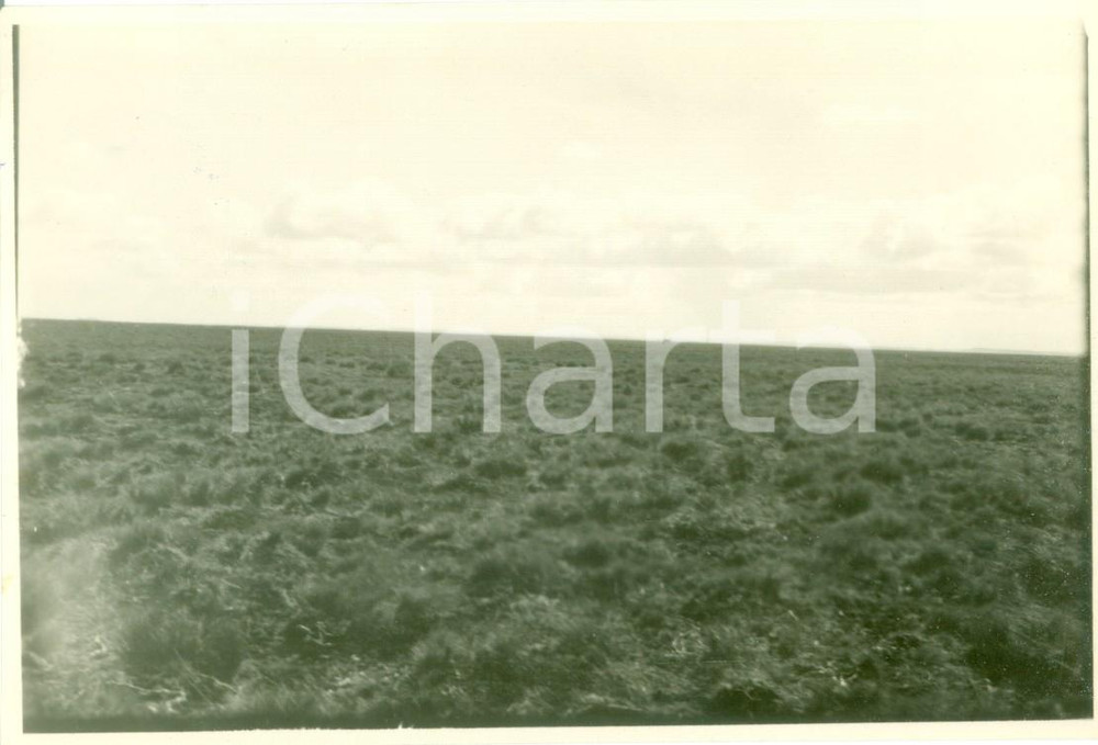 Fotografia d epoca originale 1930 PATAGONIA Le sconfinate pianure della TERRA DEL FUOCO Vera fotografia 1