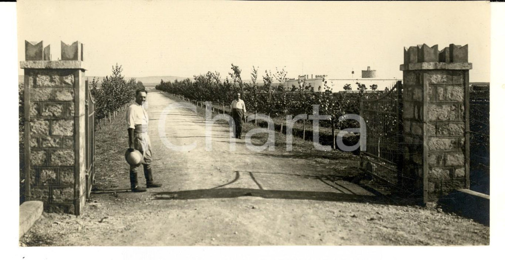 Fotografia d epoca originale 1931 LIBIA CIRENAICA Ingresso a un azienda agricola italiana Foto 17x8 1