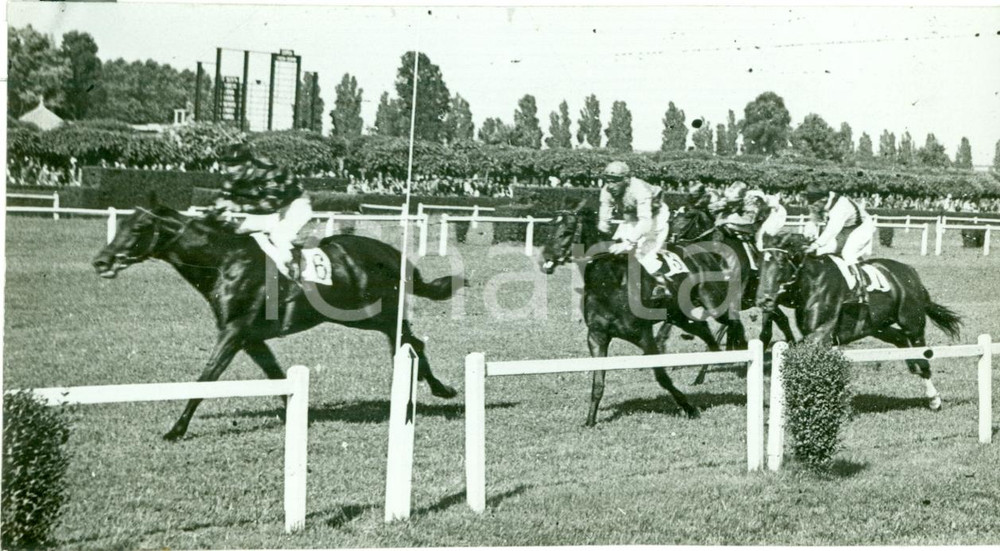 Fotografia d epoca originale 1941 MILANO Concorso ippico Ippodromo SAN SIRO Fotografia 1