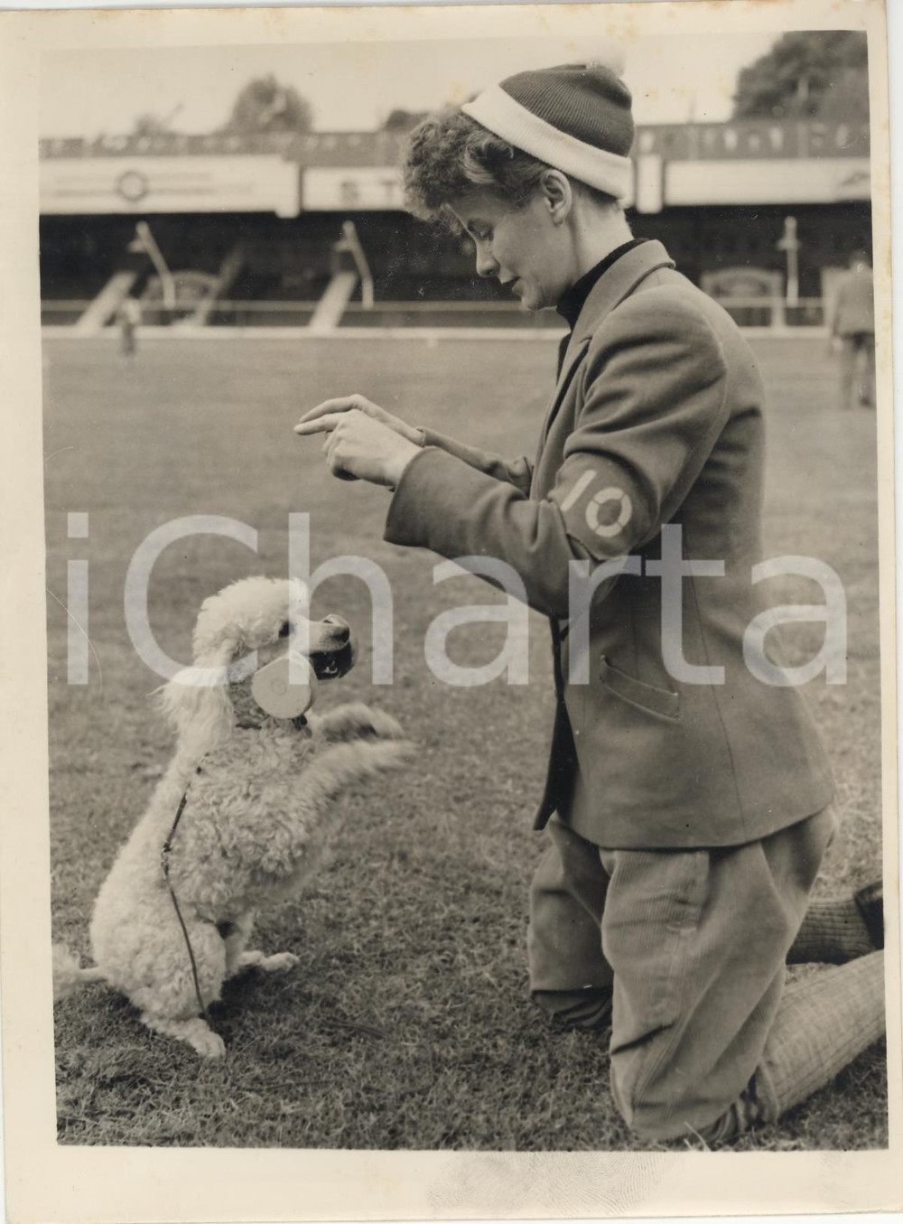 Fotografia d epoca originale 1956 CATFORD STADIUM  SATS  Joan LAVANDER with her white poodle Figaro Photo 1