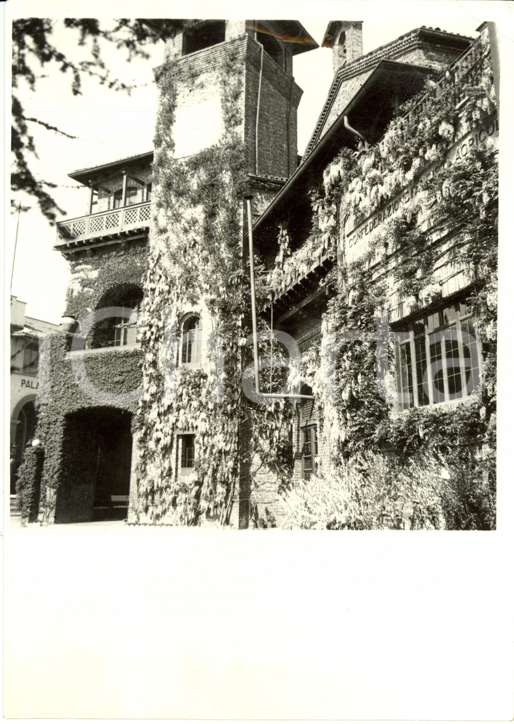 Fotografia d epoca originale 1938 MILANO Fiera Campionaria  Il Padiglione Autarchico dell Agricoltura Foto 1