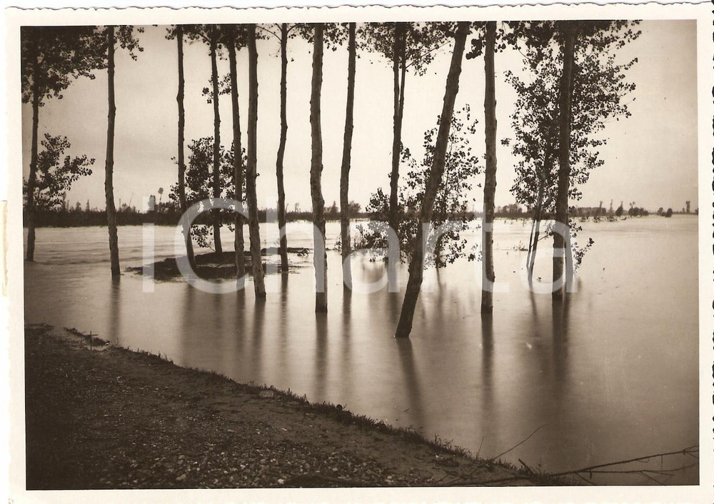 Fotografia d'epoca originale 1933 SAN MICHELE AL TAGLIAMENTO (VE) Esondazione fiume 1