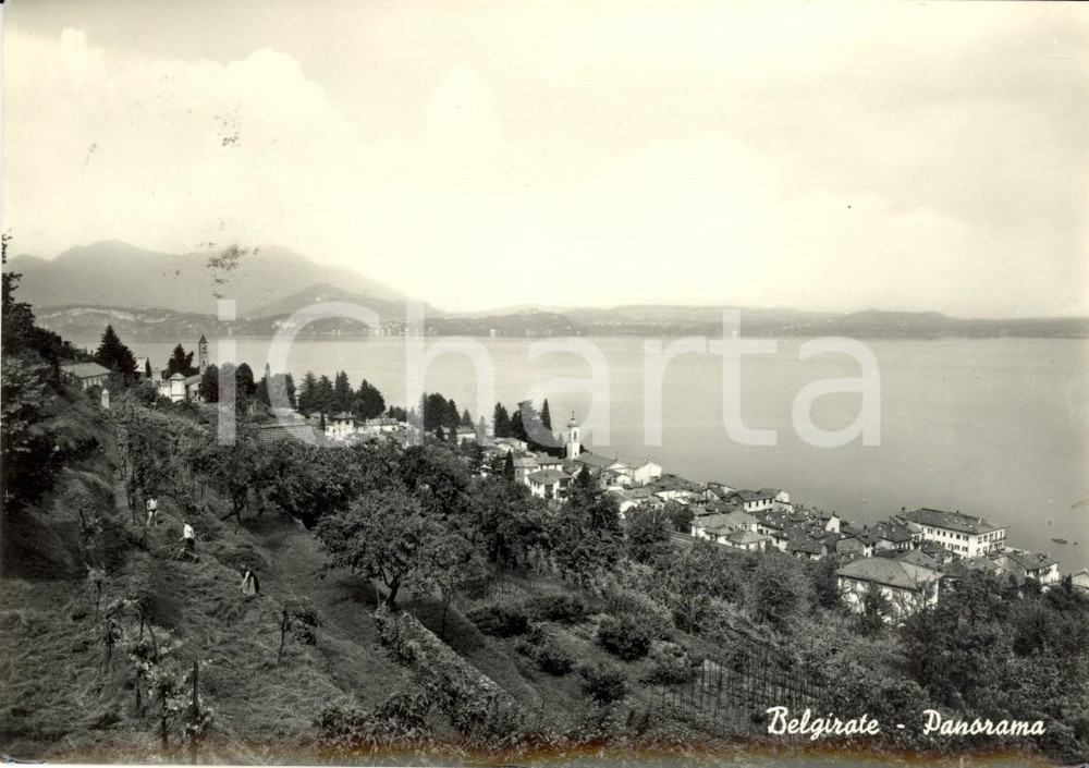 Cartolina originale da collezione 1958 BELGIRATE VB Panorama paese sul Lago MAGGIORE Cartolina ANIMATA FG VG 1