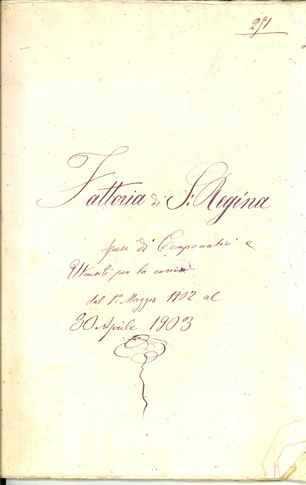 Documento originale, autentico 1903 SIENA Fattoria SANTA REGINA Spese di companatici e utensili 52 pp. 1