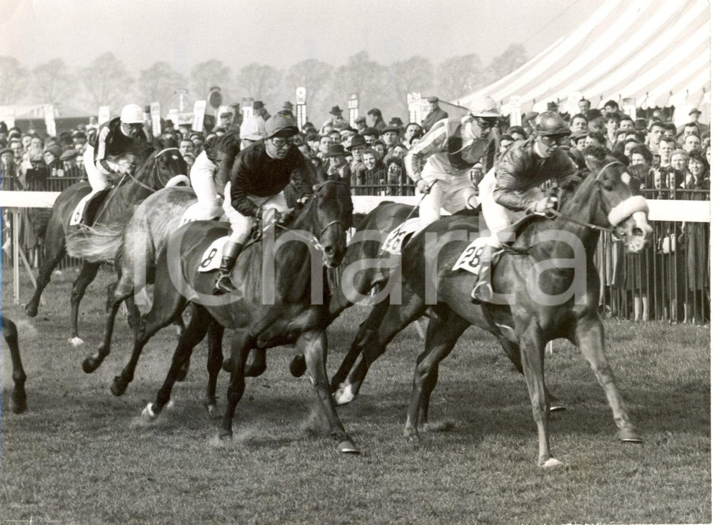 Fotografia d epoca originale 1960 LINCOLN HANDICAP  Horse Mustavon winning the race Photo 20x15 cm 1