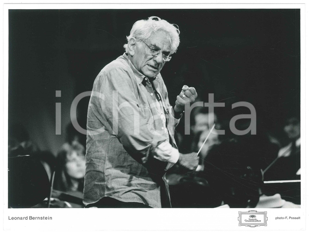 Fotografia d epoca originale 1980 ca MUSICA Leonard BERNSTEIN Ritratto  Foto DEUTSCHE GRAMMOPHON 4 1