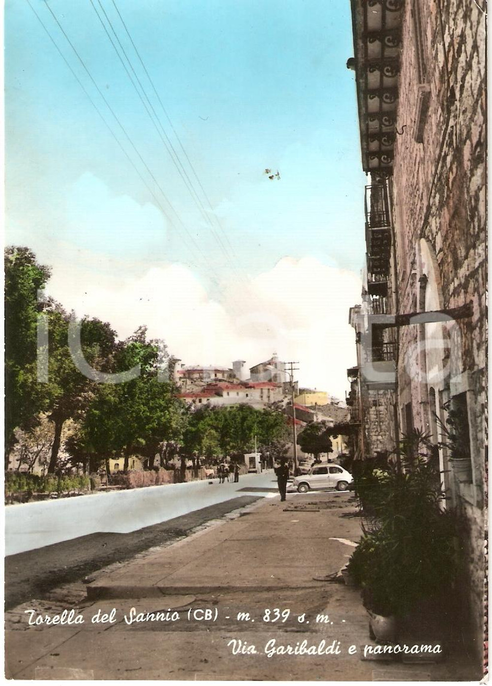 Cartolina originale da collezione 1967 TORELLA DEL SANNIO (CB) Panorama VIA GARIBALDI Cartolina animata FG VG 1