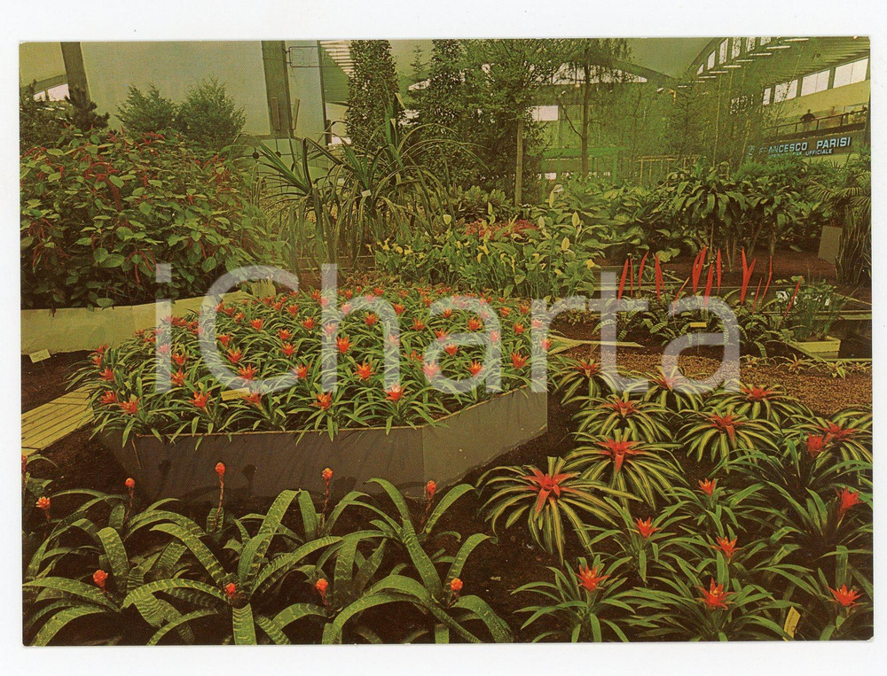 Materiale pubblicitario d’epoca 1981 GENOVA  Fiera EUROFLORA - Allestimenti floreali *Cartolina VINTAGE FG NV 1