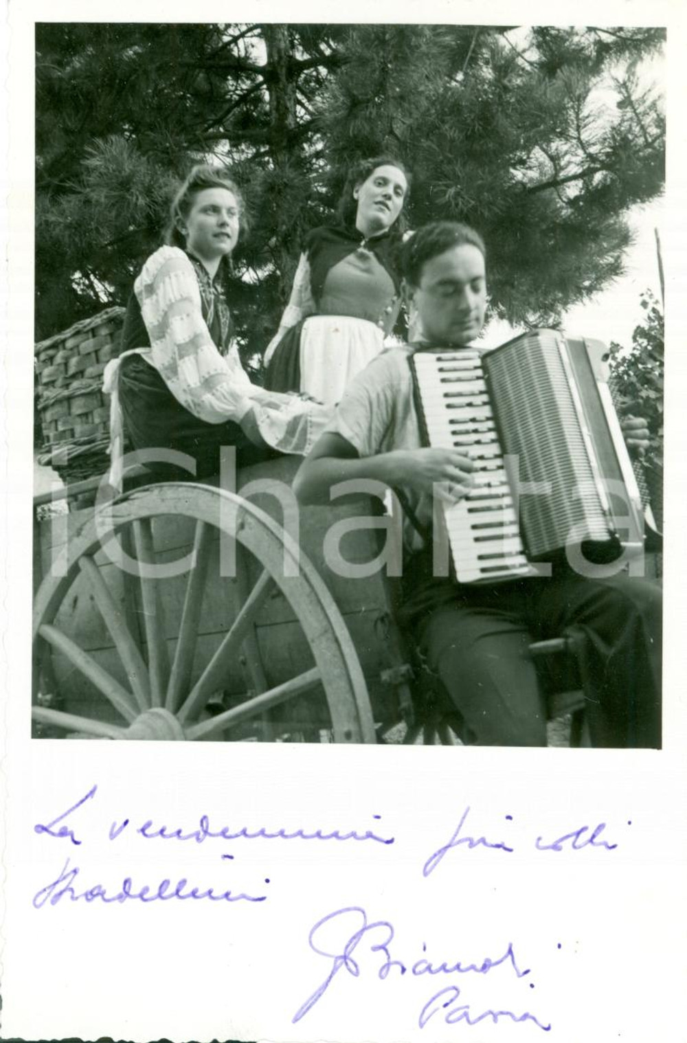 Fotografia d epoca originale 1940 STRADELLA PV Vendemmia sul carro con fisarmonica Fotografia 1