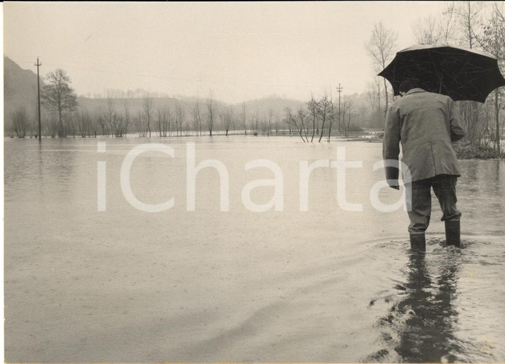 1956 PORTO CERESIO Campagna alluvionata per le forti piogge - Foto 18x13 cm