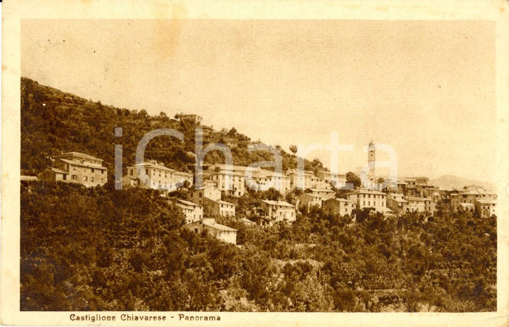 Cartolina originale da collezione 1930 ca CASTIGLIONE CHIAVARESE (GE) Veduta panoramica paese *Cartolina FP VG 1