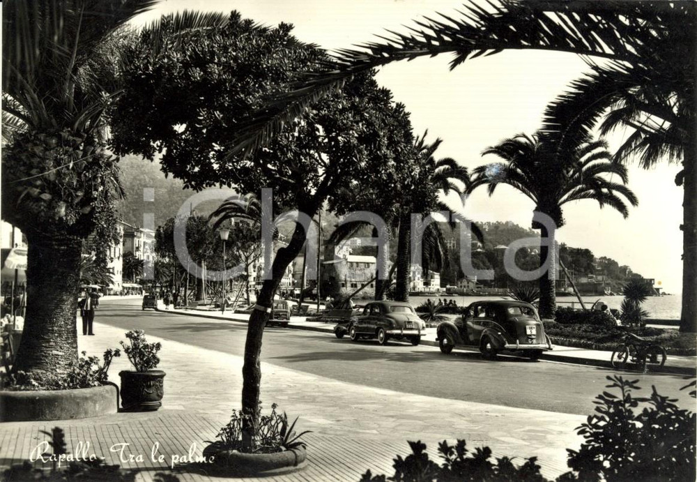 Cartolina originale da collezione 1956 RAPALLO (GE) Palmizi sul lungomare *Cartolina ANIMATA con auto FG VG 1