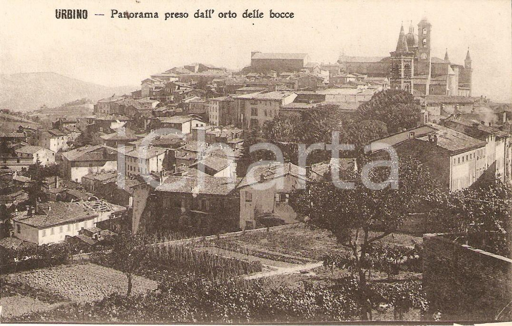 Cartolina originale da collezione 1930 ca URBINO Panorama dall Orto delle Bocce Cartolina FP NV 1