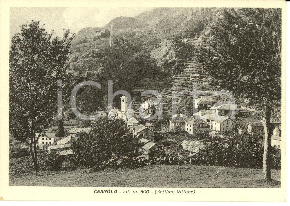 Cartolina originale da collezione 1940 ca SETTIMO VITTONE TO Panorama frazione CESNOLA Cartolina FG NV 1