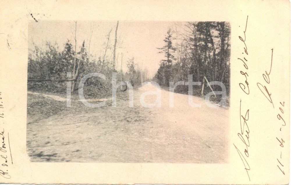 Cartolina originale da collezione 1904 RIVA DEL GARDA (TN) Strada del Ponale *Cartolina all'ing. PANZARASA 1