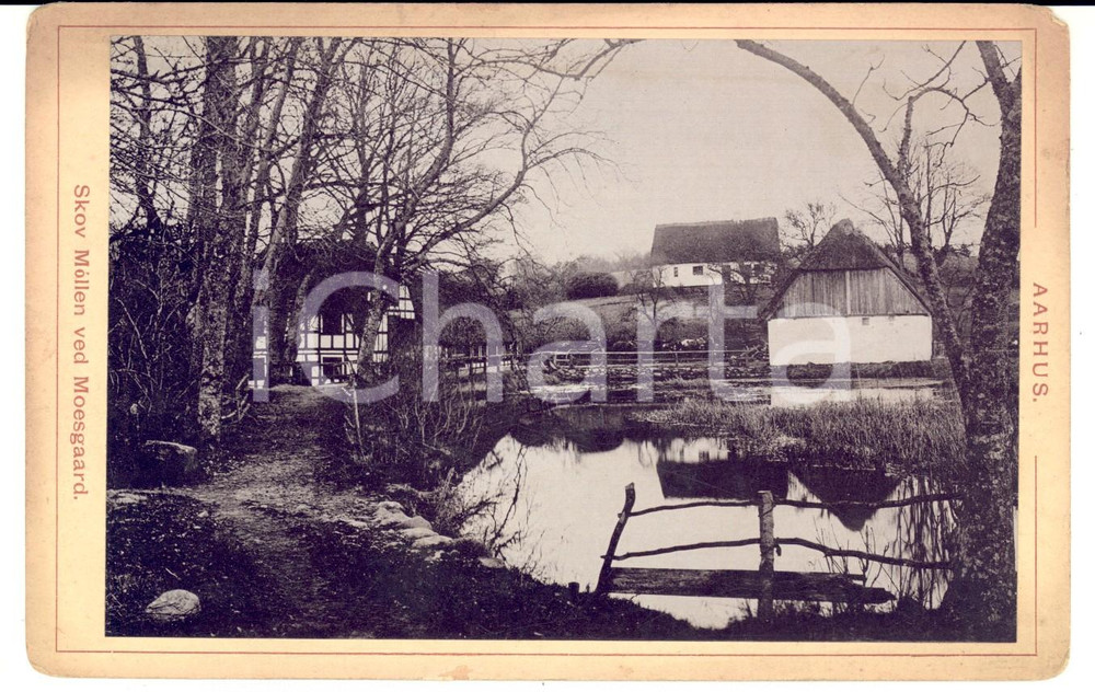 Fotografia d epoca originale 1880 ca AARHUS DENMARK Skov Mollen ved MOESAGAARD Foto VINTAGE 17x11 cm 1