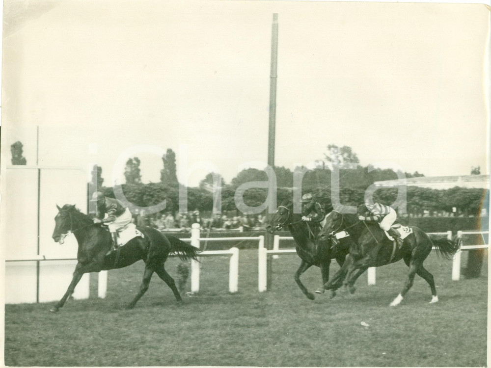 Fotografia d epoca originale 1936 MILANO SAN SIRO Cavallo TALMA arriva al traguardo del Premio PO Fotografia 1