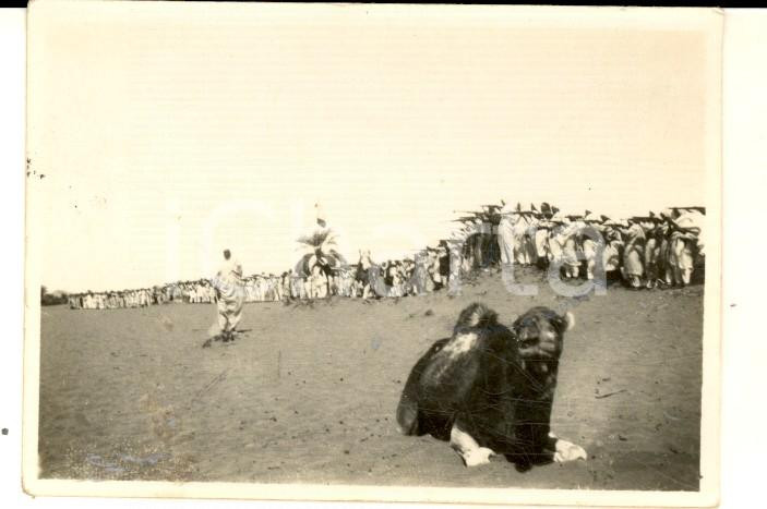 Fotografia d epoca originale 1928 CUFRA LIBIA Arrivo mehalla vittoriosa  Fantasia dei guerrieri  Foto 8x6 1