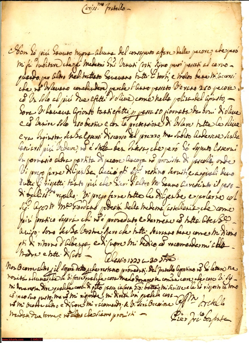Manoscritto, lettera originale 1727 ALASSIO Pierfrancesco BONFANTE affare delle pecore 1