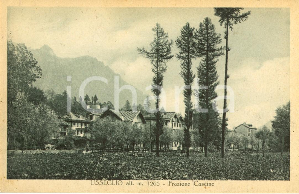 Cartolina originale da collezione 1931 USSEGLIO TO Veduta della frazione CASCINE Cartolina postale FP VG 1