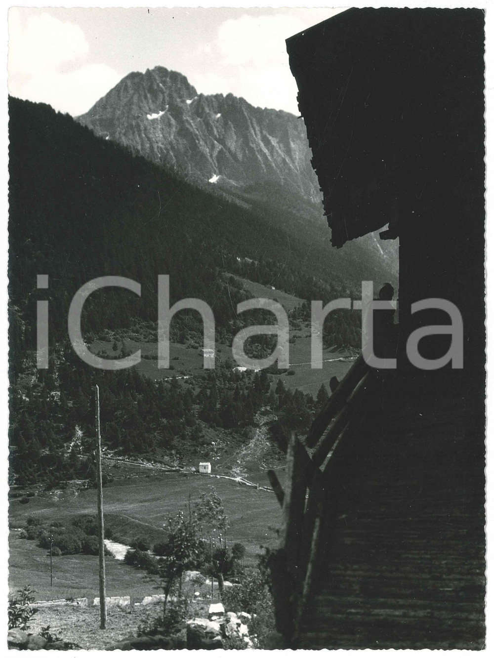 Fotografia d epoca originale 1955 ca Corno PORNINA visto da VEZZA D OGLIO  Foto Gualtiero LAENG FIRMATA 1