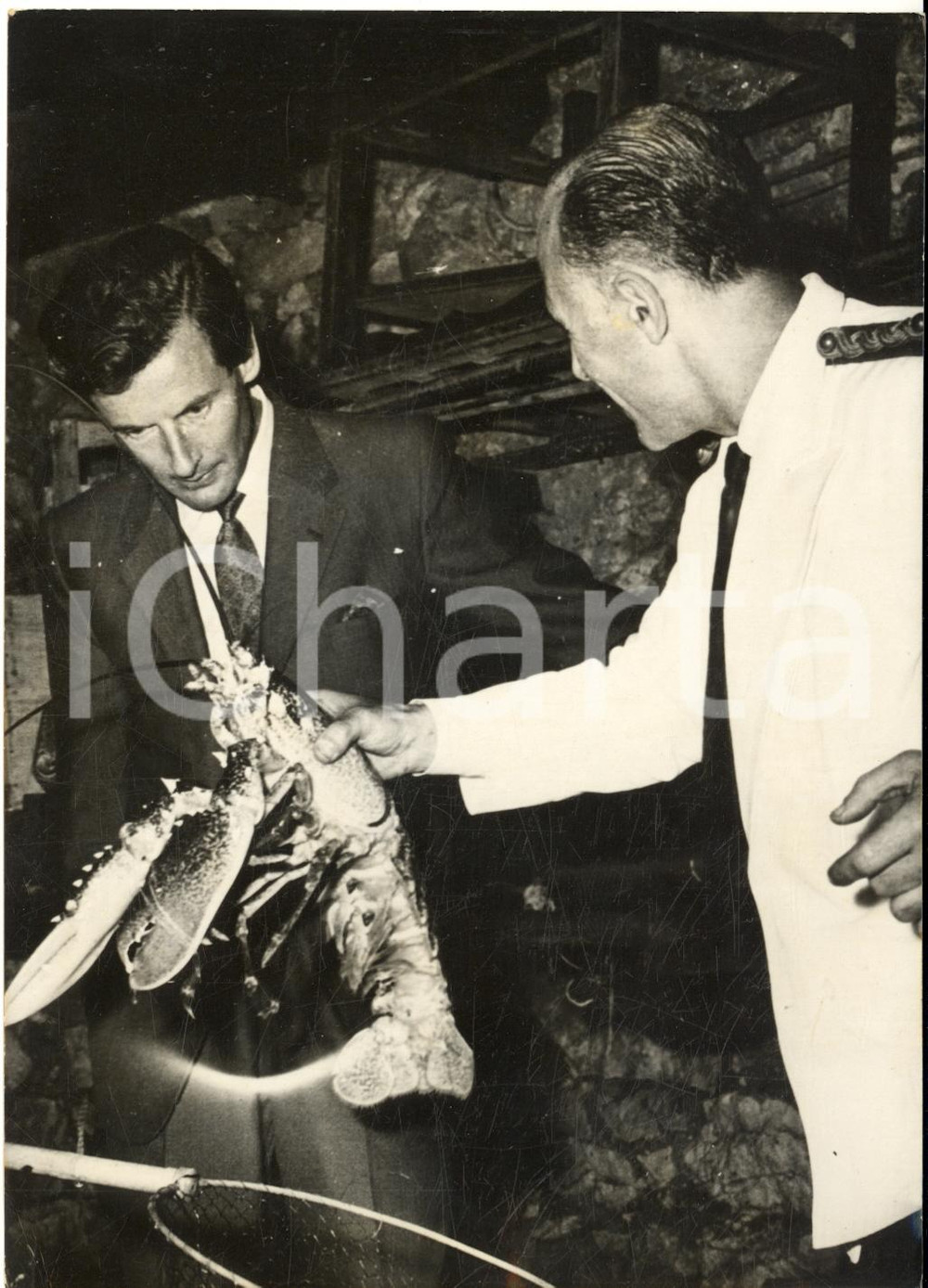 1959 MARSEILLE Peter TOWNSEND incredulo per un'aragosta gigante *Foto 13x18