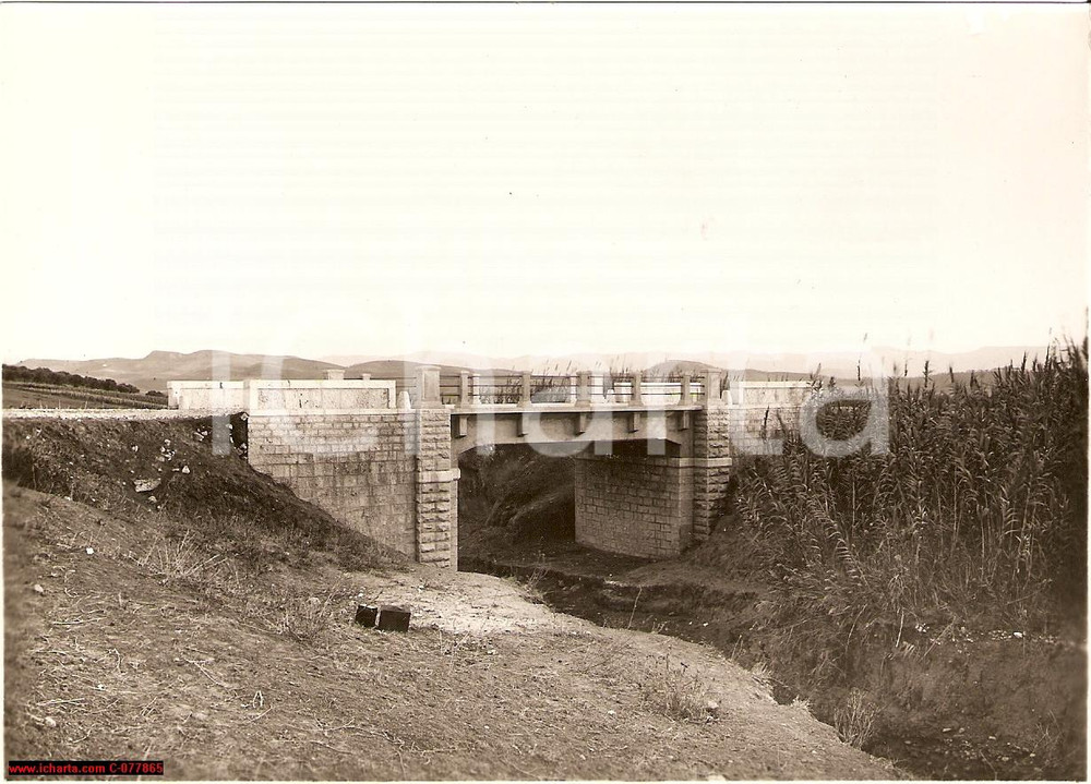 Fotografia d epoca originale 1932 TRAPANI, S.P. 49 di Passofondo, ponte sul Rognone 1