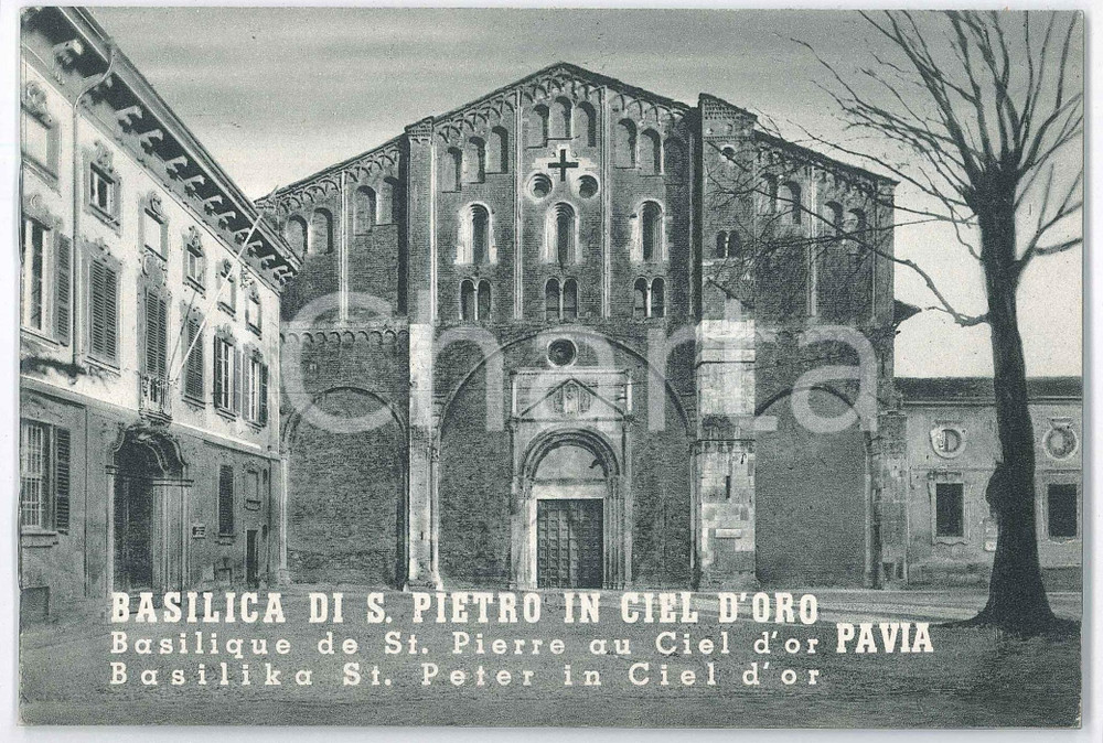 Libro, pubblicazione d epoca 1970 ca PAVIA Basilica di S. Pietro in Ciel d Oro  32 pp. ILLUSTRATO 1