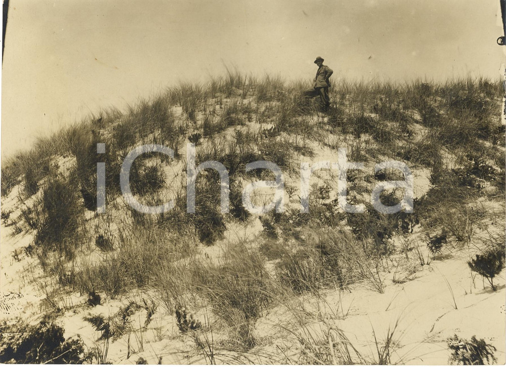 Fotografia d epoca originale 1933 BONIFICA FASCISTA Dune mobili rinsaldate con psamma arenaria Fotogrfaia 1