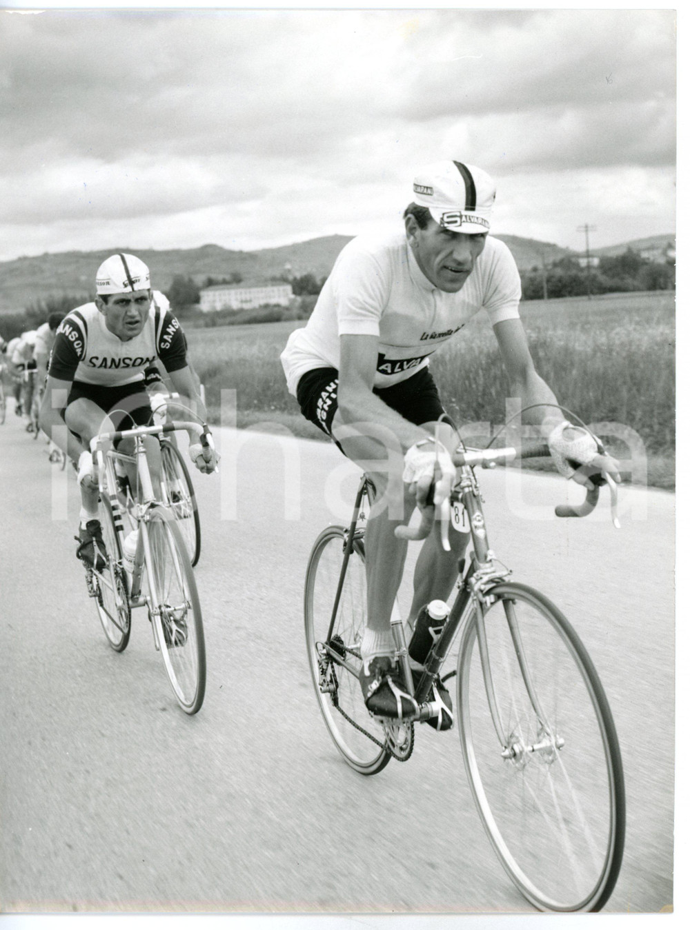 1965 GIRO D'ITALIA CICLISMO Squadra SALVARANI - Felice GIMONDI guida il gruppo Fotografia d'epoca con didascalia coeva al verso. CONDIZIONI: GFORMATO: 18x24 cm     originale e autentica 1
