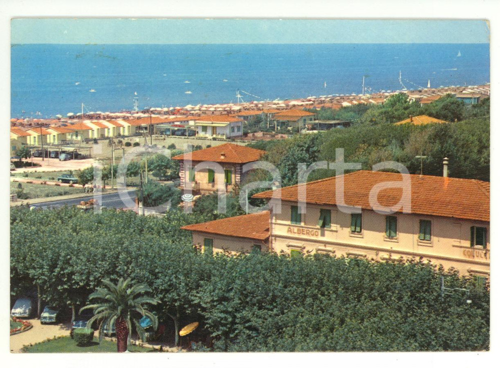 Cartolina originale da collezione 1963 MARINA DI PIETRASANTA (LU) Albergo COLUCCINI e panorama *Cartolina FG VG 1