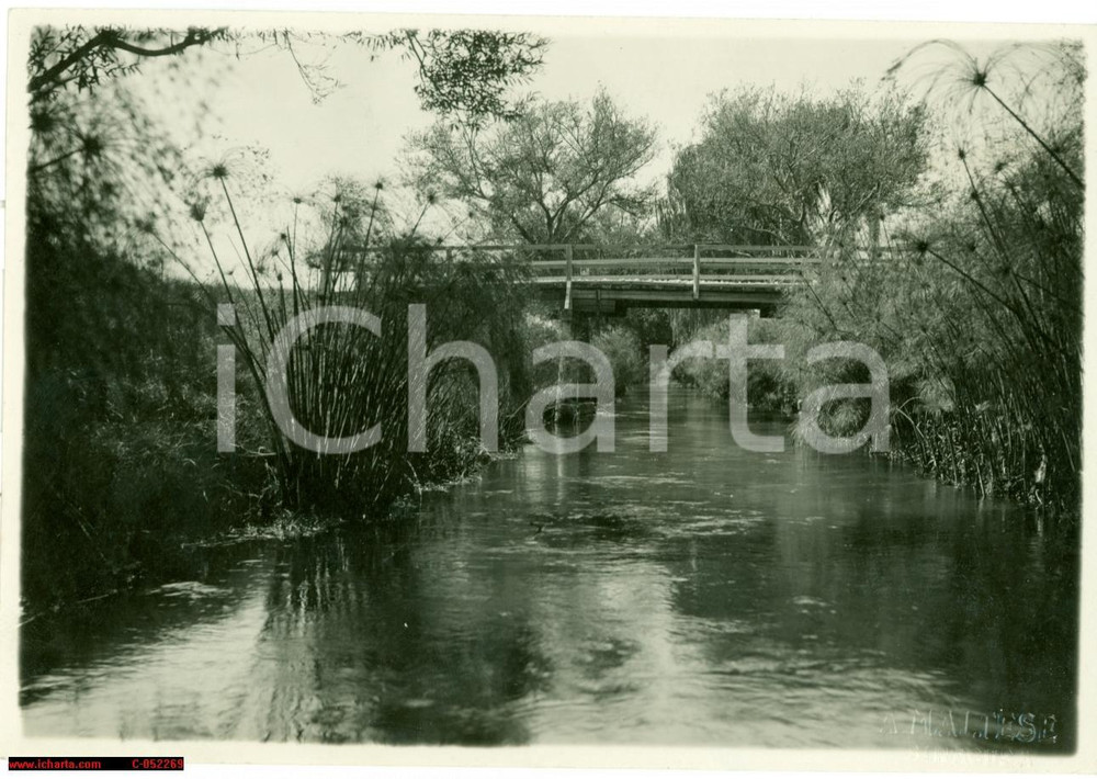 Fotografia d'epoca originale 1935 ca SIRACUSA Fiume CIANE prima bonifica LISIMELIE 1