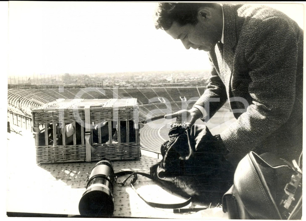 1964 TOKYO OLIMPIADI Piccioni viaggiatori portano i rullini dei reporter *Foto