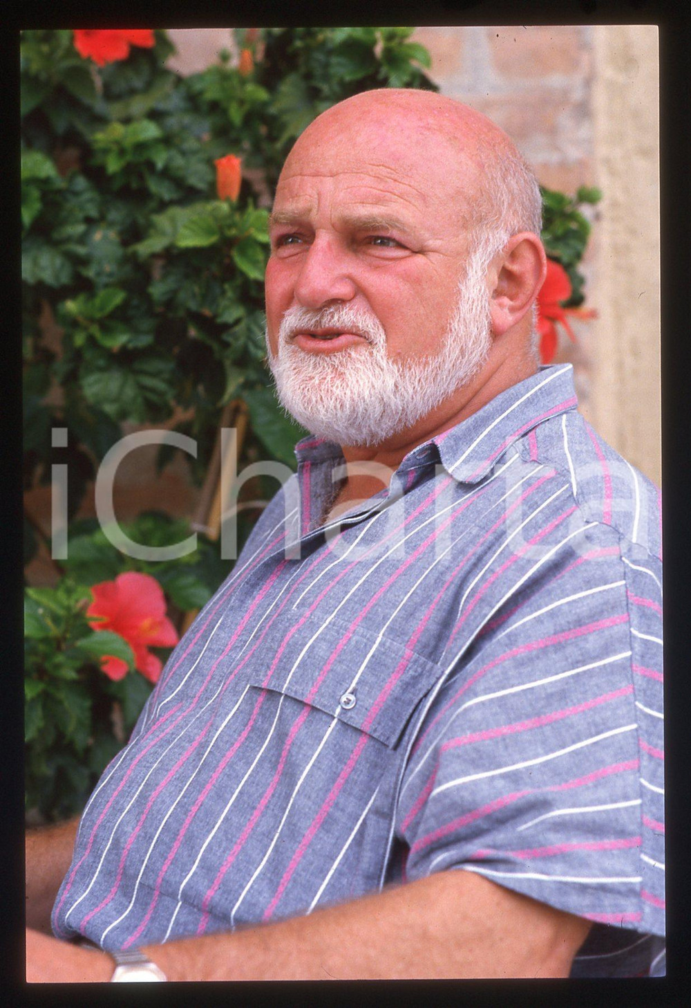 35mm vintage slide*1988 VENEZIA MOSTRA DEL CINEMA - John SCHLESINGER Ritratto 6