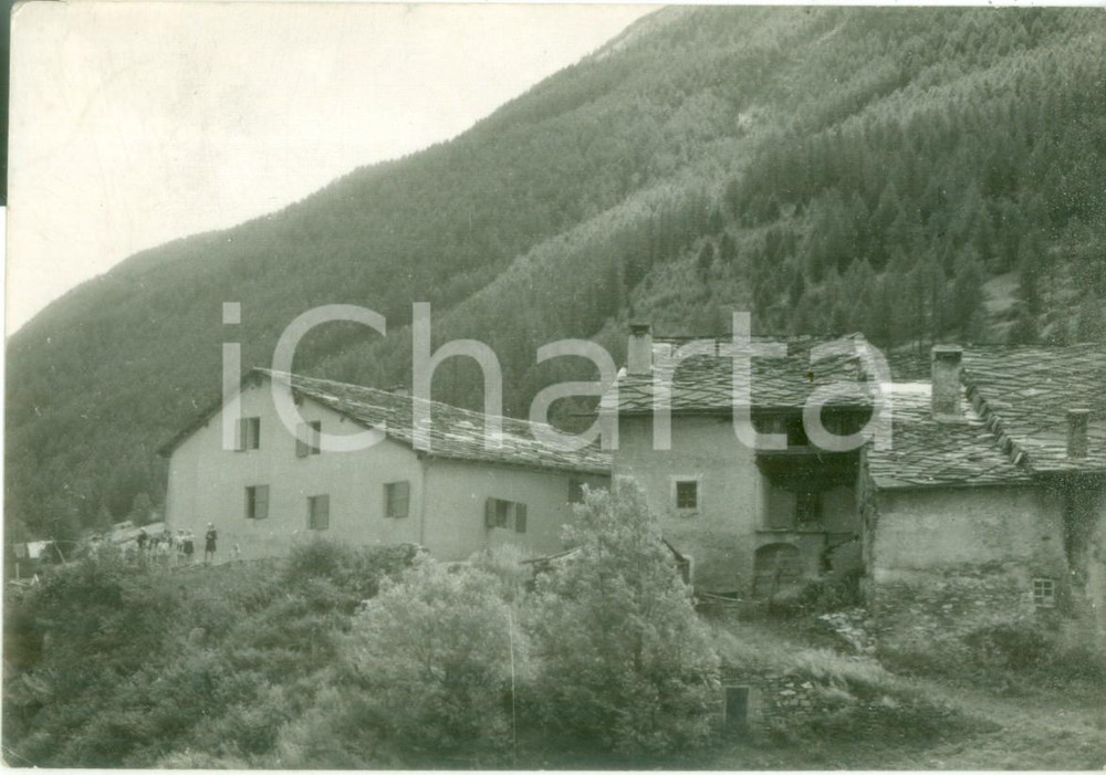 Cartolina originale da collezione 1954 PRAGELATO TO Casa Alpina Poirinese Cartolina FG VG 1