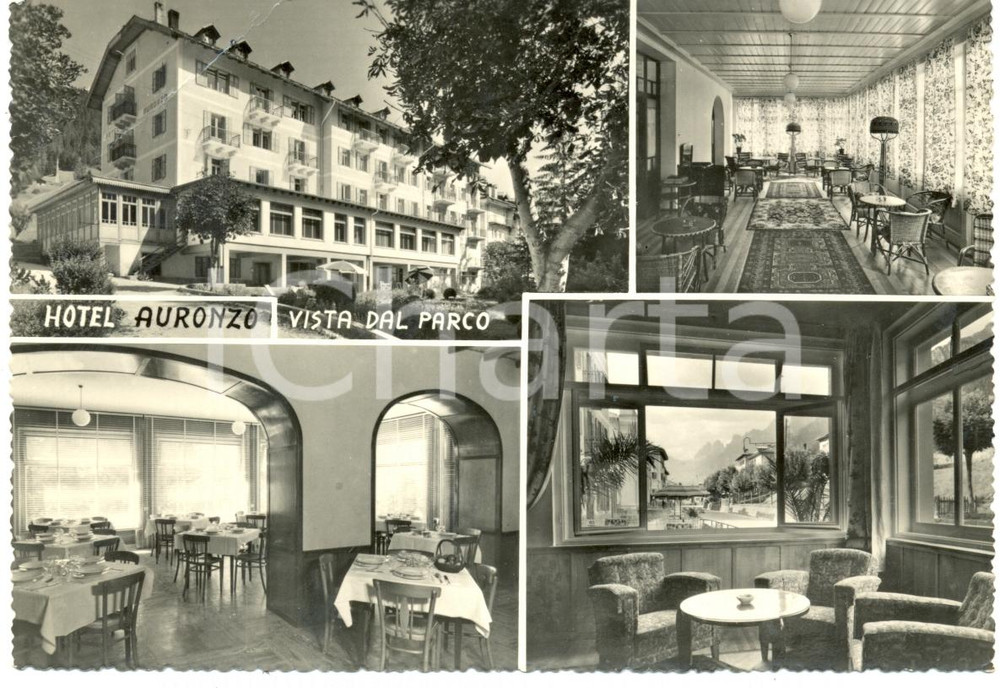 Cartolina originale da collezione 1960 ca AURONZO DI CADORE (BL) Hotel AURONZO Parco Vedutine *Cartolina FG NV 1