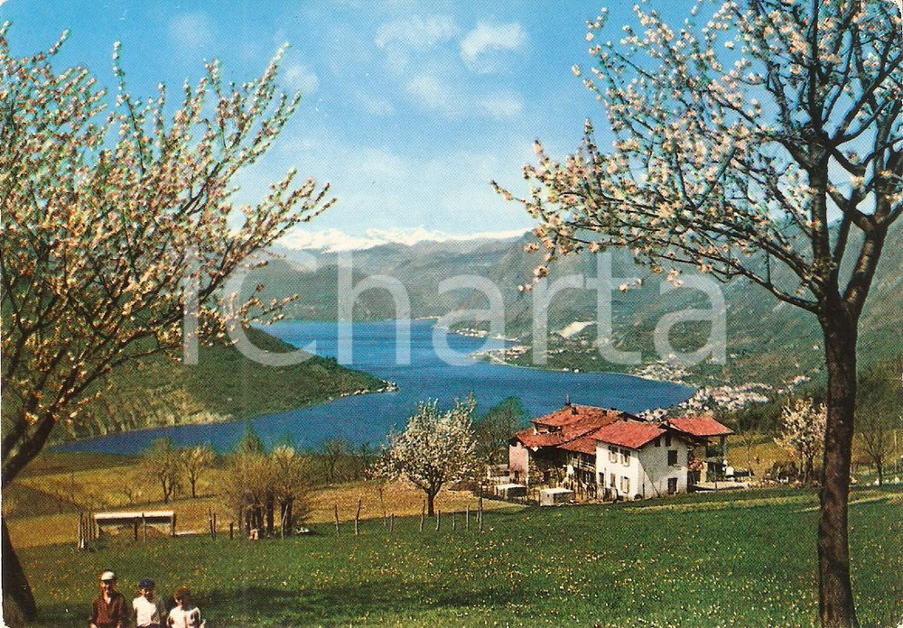 Cartolina originale da collezione 1970 ca LAGO D ISEO BS Primavera sulle sponde del lago Cartolina FG NV 1