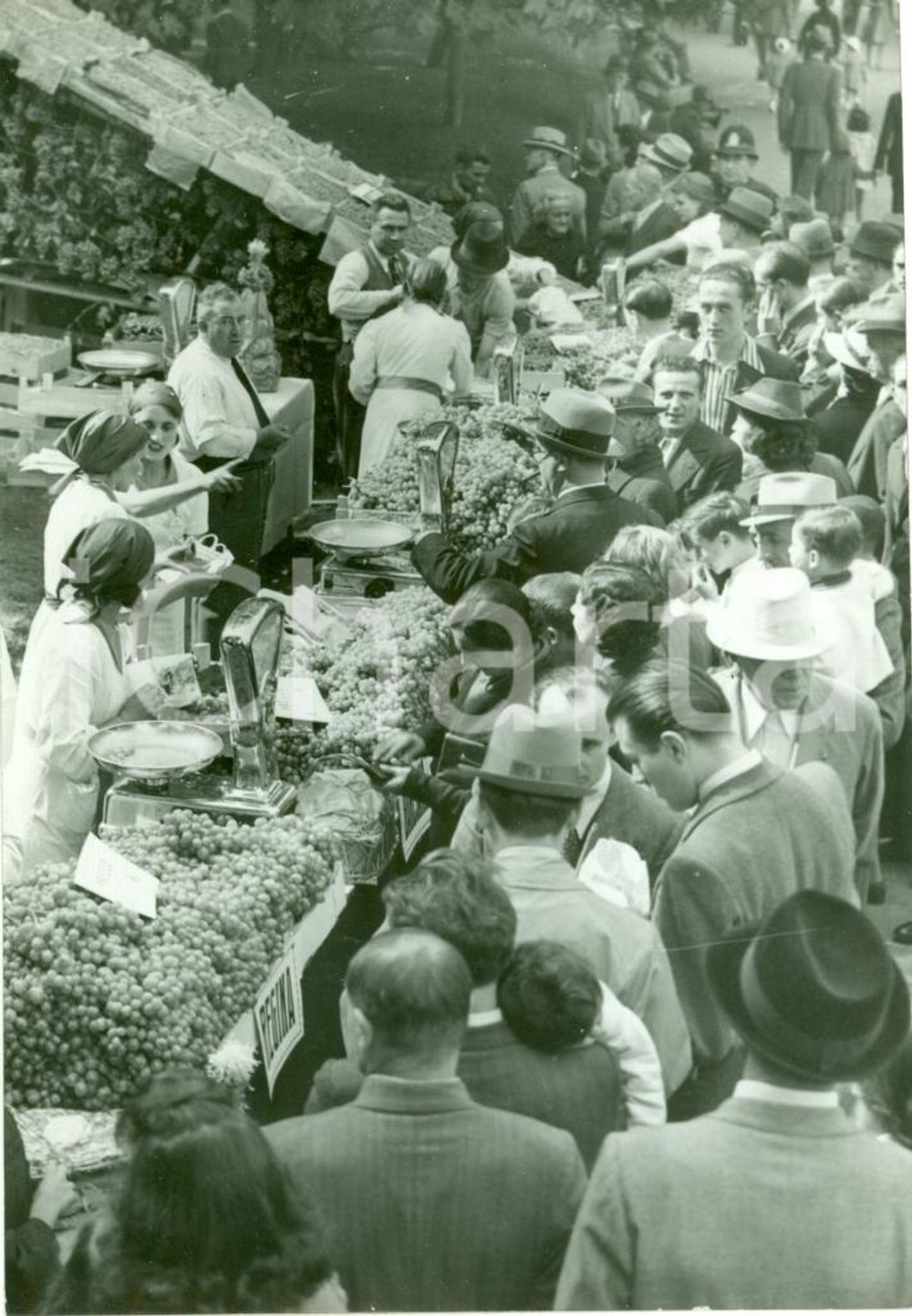 Fotografia d epoca originale 1939 MILANO Mercato dell uva ai Giardini Pubblici FOTOGRAFIA 1