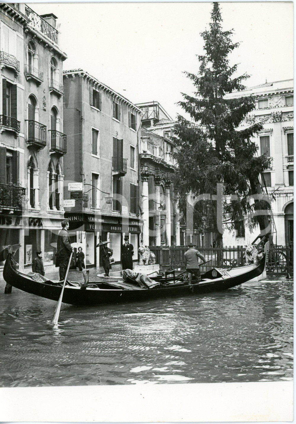 1958 VENEZIA Alta marea - Gondola attracca ai Leoncini presso l'albero di Natale