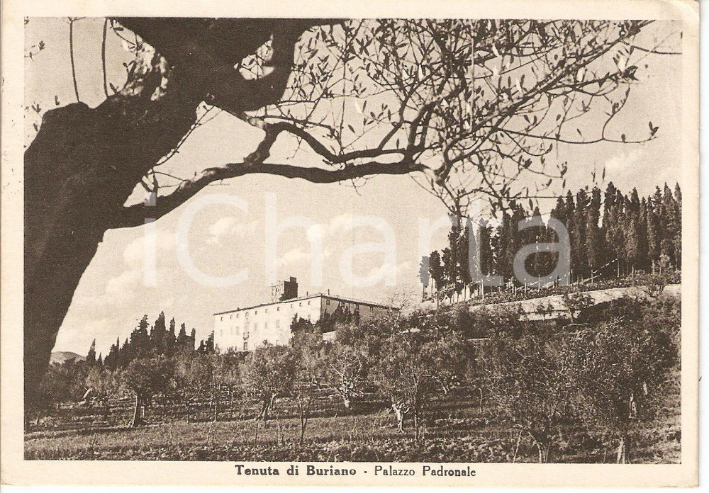 Cartolina originale da collezione 1949 MONTECATINI VAL DI CECINA PI Frazione BURIANO Vista Palazzo Padronale VG 1