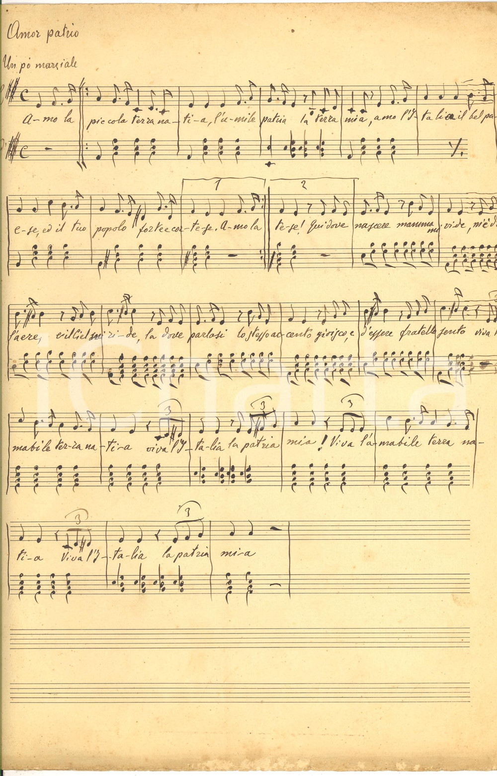 Oggetto da collezione cartaceo 1880 Spartito AMOR PATRIO Manoscritto (inedito?) 1