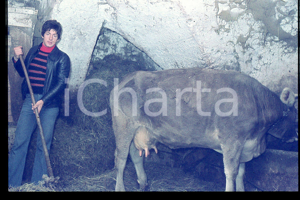 35mm vintage slide* 1970 ca GIOVO Francesco MOSER pulisce la stalla *CICLISMO 4