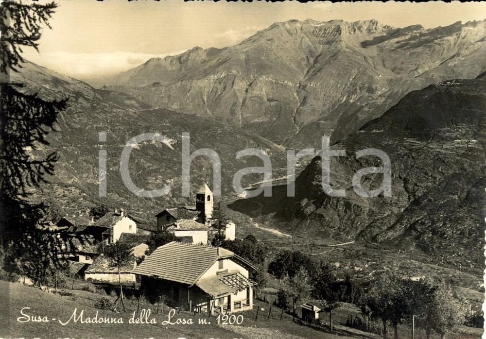 Cartolina originale da collezione 1950 ca GRAVERE TO Veduta frazione MADONNA della LOSA Cartolina postale FG NV 1