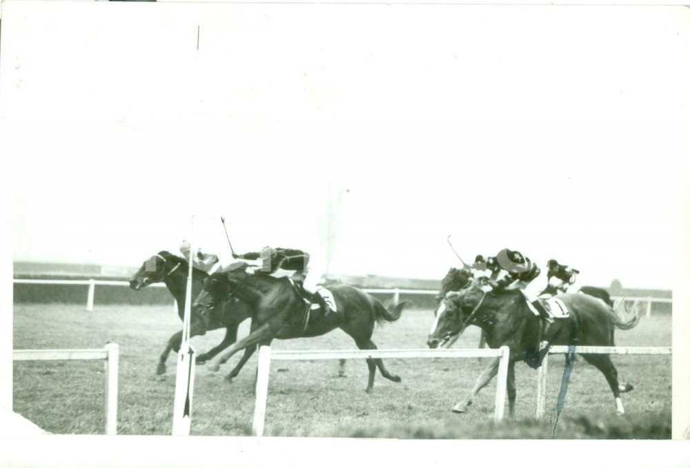 Fotografia d epoca originale 1939 MILANO SAN SIRO Cavallo BELLINI batte VELO sul palo al Premio di Chiusura 1