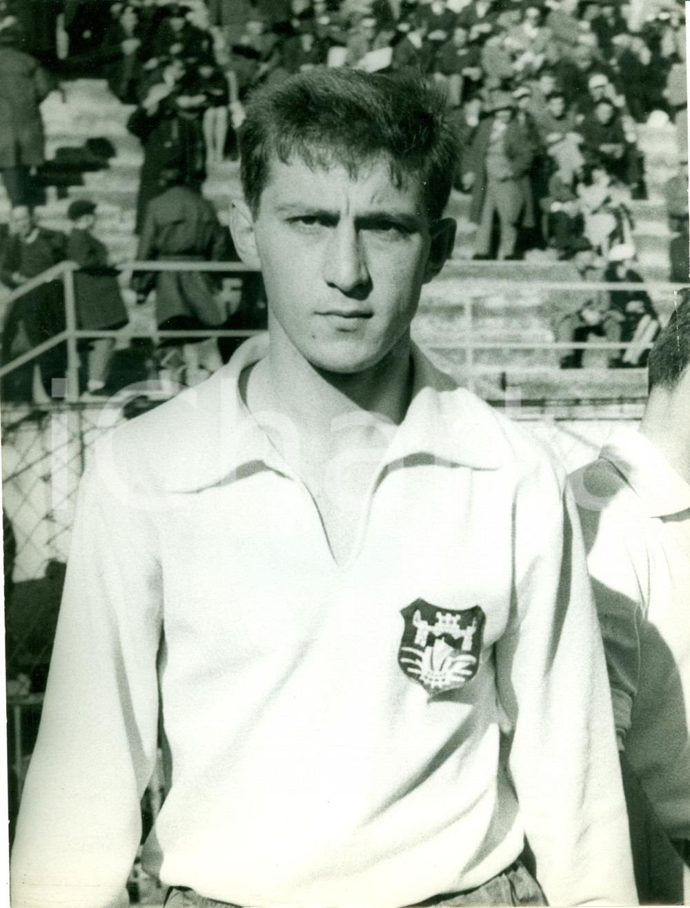 Fotografia d epoca originale 1970 ca BELGRADO Allenatore PARTIZAN Velibor VASOVIC Fotografia 1