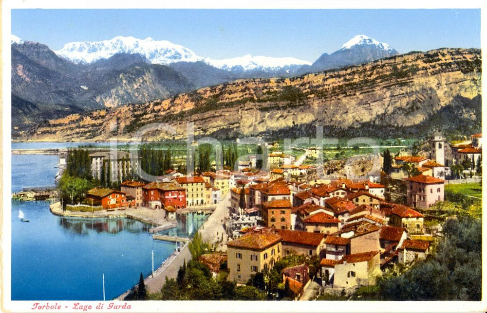 Cartolina originale da collezione 1930 ca TORBOLE TN LAGO DI GARDA Veduta panoramica dell abitato Cartolina FP 1