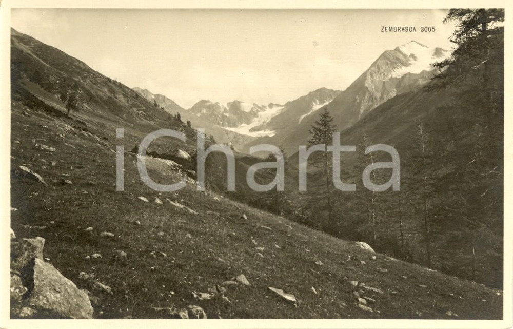 Cartolina originale da collezione 1930 ca LIVIGNO SO Valle delle MINE e ghiacciaio dello ZEMBRASCA Cartolina 1